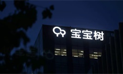 一棵摇不了钱的宝宝树