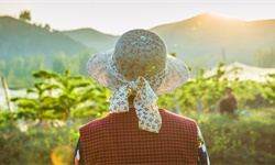 王晓芳：怎么判断好吃的水果？百果园给出3个标准，收获营养和健康