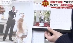 KO鲜肉？普京日历日本卖脱销 “铁汉柔情”圈粉大批日本女性