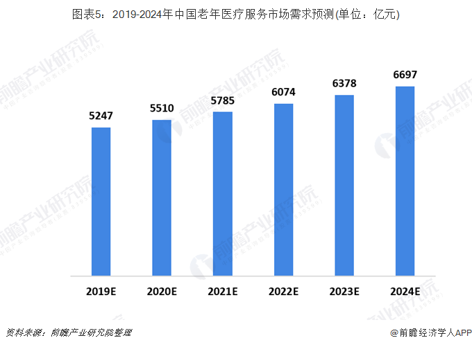 老年健康服务