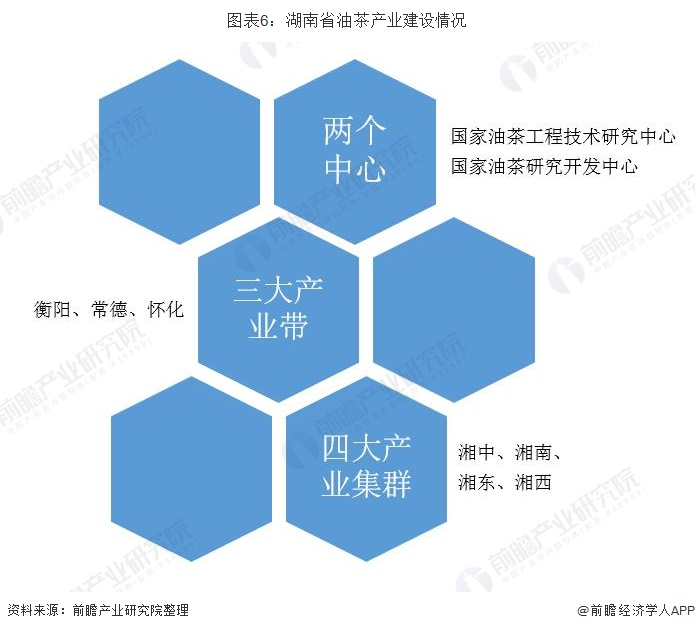 图表6：湖南省油茶产业建设情况