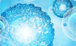 华中科大团队：纳米技术可大幅增强CAR-T疗效 从6大方面突破当前疗法局限性