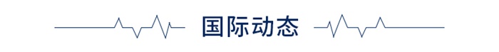 寄生虫方回应抄袭