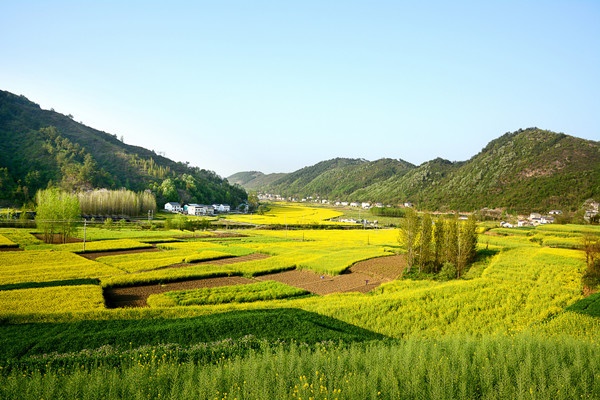 田园综合体