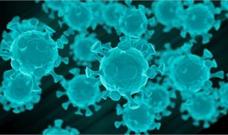 提高警惕！新冠病毒可以在特定表面存活长达三天的时间！
