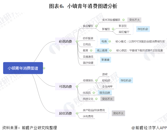 图表6：小镇青年消费图谱分析