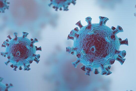 新冠肺炎流行病是由一种名为sars-cov-2的冠状病毒引起的,它首先在