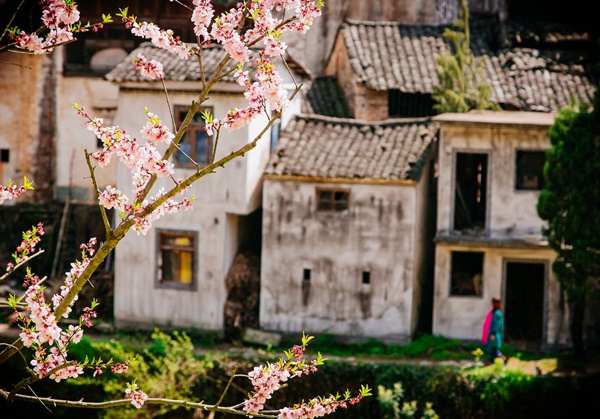 乡村旅游