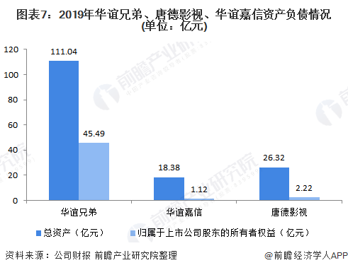 图表7：2019年华谊兄弟、唐德影视、华谊嘉信资产负债情况(单位：亿元)