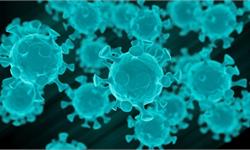 新冠患者“复阳”或因检测试剂敏感性低？研究称“复阳”非复发，无传染性