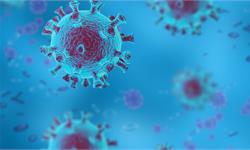 清华团队突破性进展！5月底新冠疫苗可进行动物试验