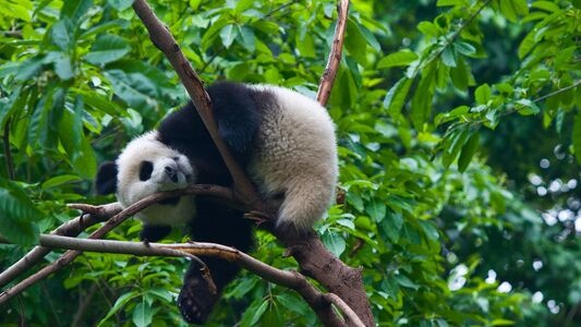 张文宏谈五一假期出游