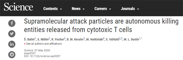 T细胞“超级炸弹”杀死危险异类