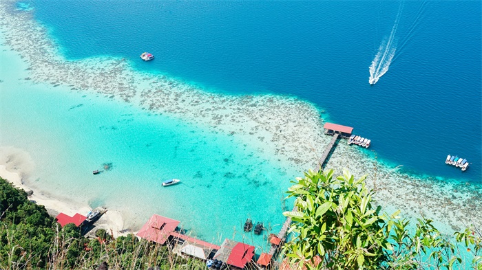 老牌旅游企业纷纷倒闭出局！国际旅游收入将减少数千亿