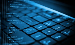创投圈未解之谜：Python是怎么走红的？