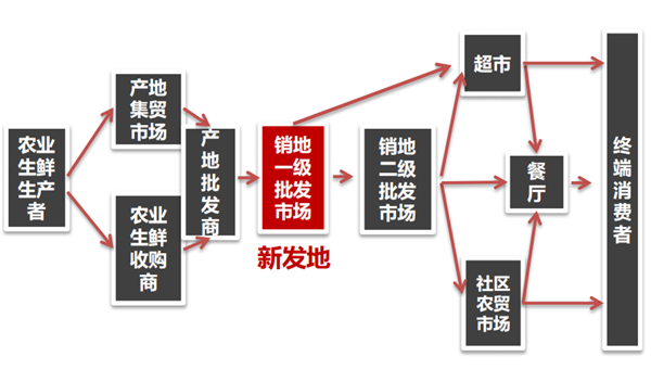 成立于1988年的新发地蔬菜批发市场,已经承担北京80%以上农产品供应的