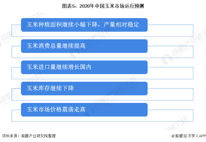图表5：2020年中国玉米市场运行预测