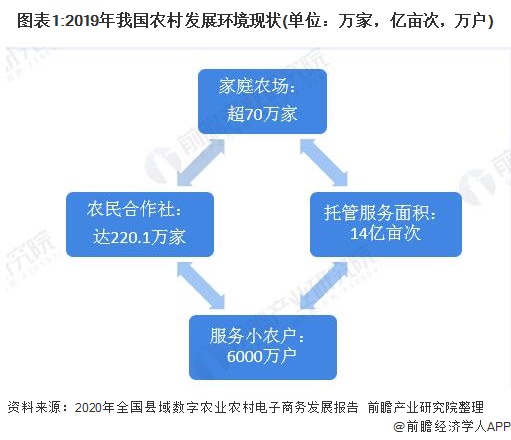 图表1:2019年我国农村发展环境现状(单位：万家，亿亩次，万户)