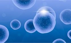 意想不到！研究发现人感到寒冷时起的<em>鸡皮疙瘩</em>还能促进生发