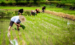 李志刚：如何把握未来农业创业机遇？