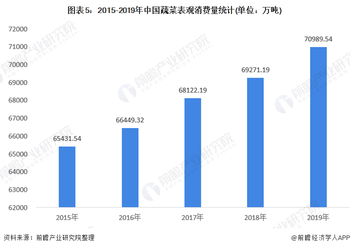 图表5：2015-2019年中国蔬菜表观消费量统计(单位：万吨)