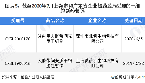 图表5：截至2020年7月上海市和广东省企业被药监局受理的干细胞新药情况