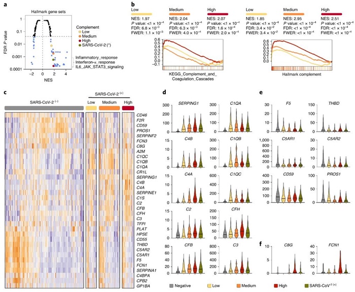 补体过度活跃拉高新冠患者死亡率