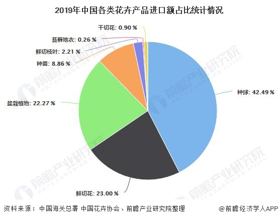 2019年中国各类花卉产品进口额占比统计情况