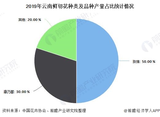 2019年云南鲜切花种类及品种产量占比统计情况