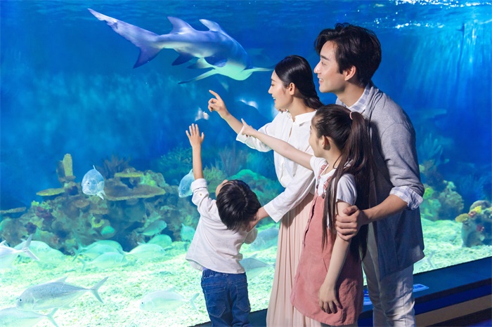 高原上的海洋馆！西藏拉萨首家海洋馆开馆！距离布达拉宫仅有5公里