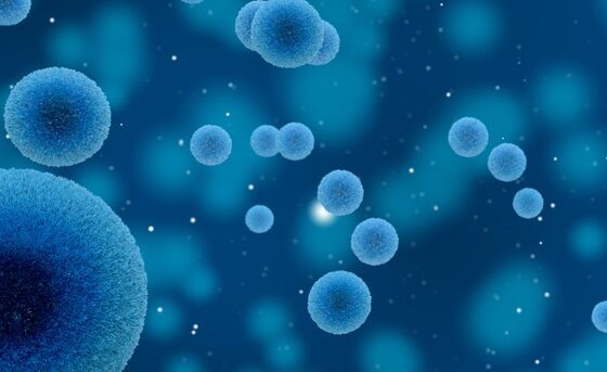 细菌也会“舍己为人”！一些细菌牺牲自己保护同胞免受抗生素伤害