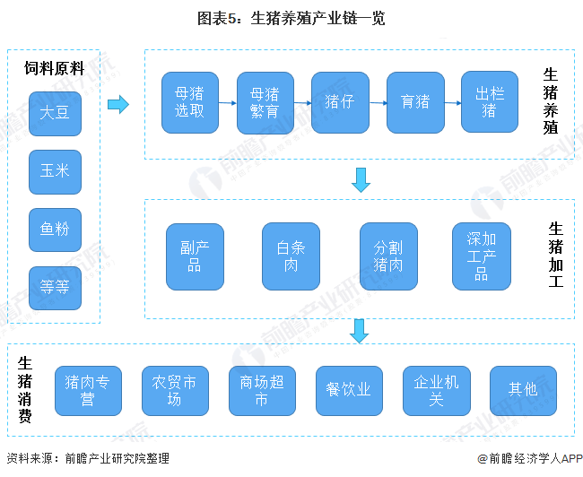 图表5：生猪养殖产业链一览