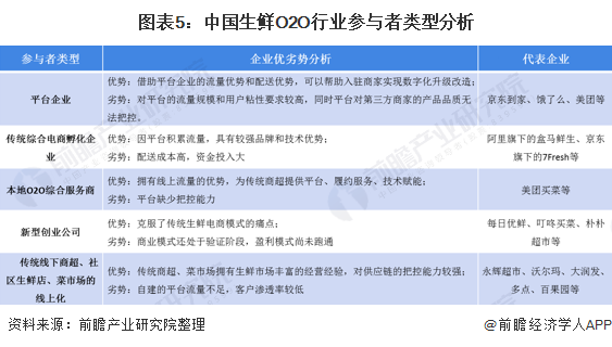 图表5：中国生鲜O2O行业参与者类型分析
