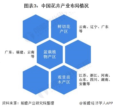 图表3：中国花卉产业布局情况