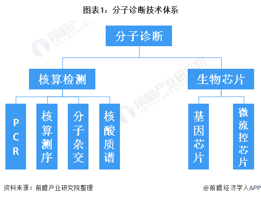 图表1:分子诊断技术体系