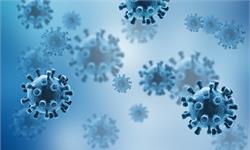 语出惊人！美教授称新冠证明美国不怕死人，网友直呼“无情”