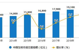2013-2019年中国生鲜市场交易规模及增长情况