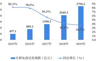 2015-2019年中国生鲜电商交易规模及增长情况