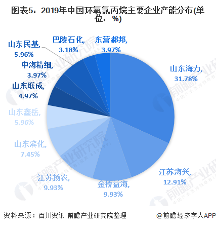 图表5：2019年中国环氧氯丙烷主要企业产能分布(单位：%)