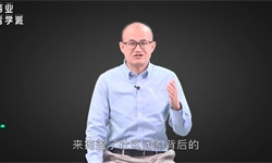 互联网巨头正在夺走卖菜商贩的生计？我坚决不同意！