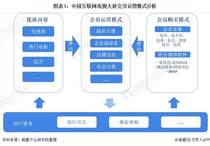 图表1：中国互联网电视大屏会员运营模式分析