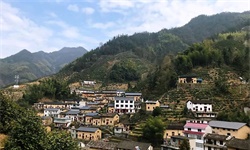 农村，大有可为（上）