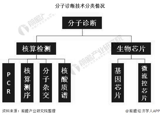 分子诊断技术分类情况