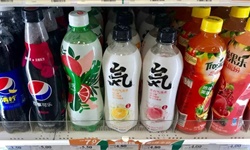 元气森林的扩张难题