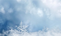 担忧！南极现大规模变色雪，恐将进一步加剧全球变暖