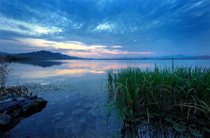 杭州惊现3亿多年历史的韭菜