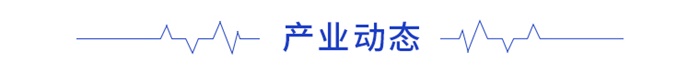 周报