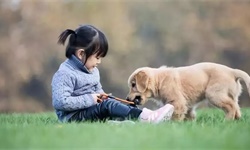 庞麦郎之痛或可解：小时候多接触狗可预防成年后患精神分裂症