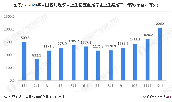 图表5：2020年中国各月规模以上生猪定点屠宰企业生猪屠宰量情况(单位：万头)