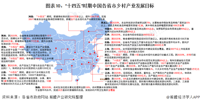 图表10：“十四五”时期中国各省市乡村产业发展目标